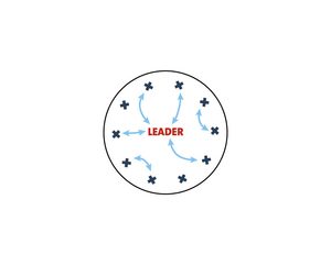 A diagram showing a central figure labeled "leader" with arrows pointing to and from various small crosses, indicating interactions or connections.