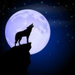 Silhouette of an outlier wolf howling on a cliff against a backdrop of a full moon and starry night sky.