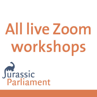 All live Zoom workshops