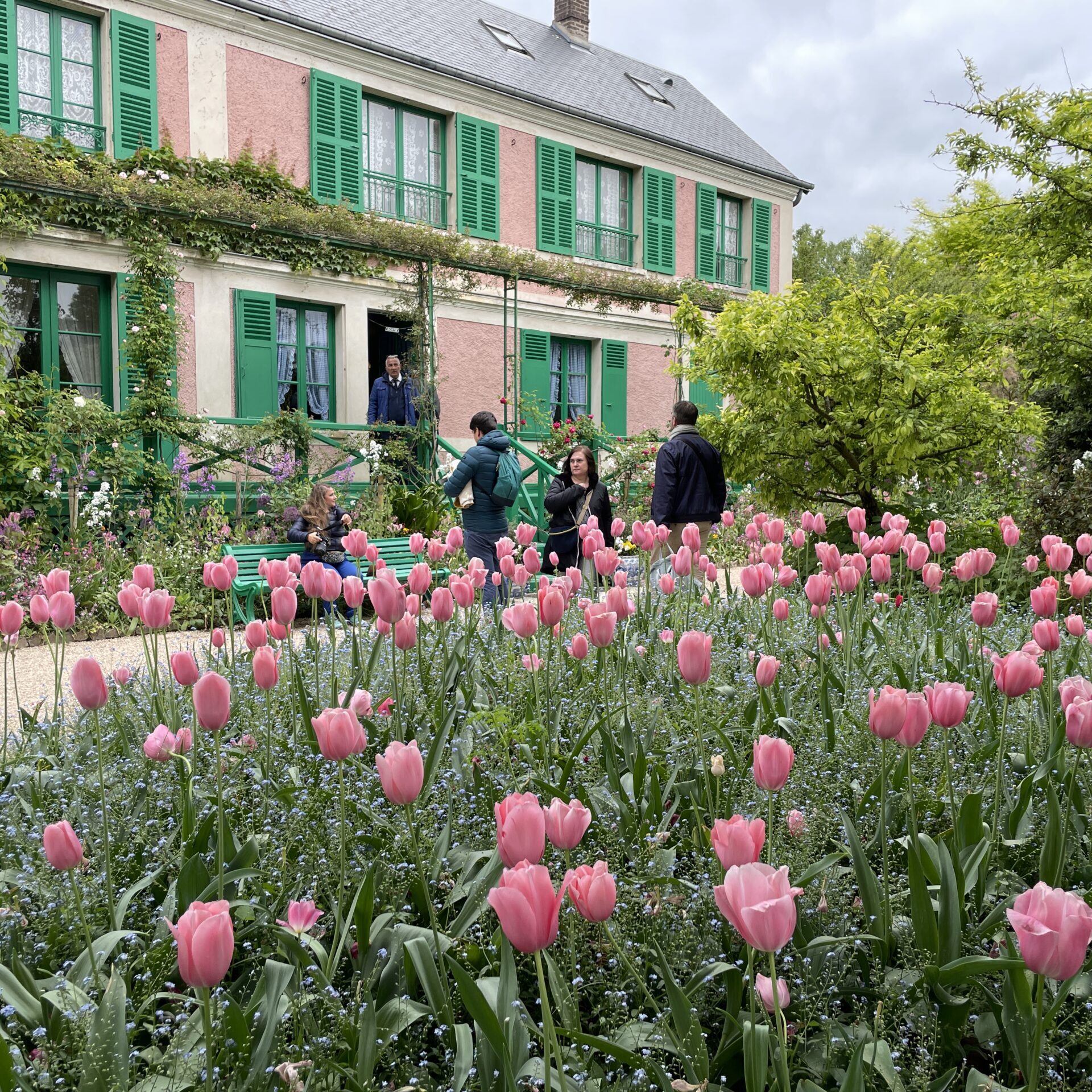 Pink tulips bloom in a garden in front of a two-story house with green shutters, as several people stand and walk near the entrance.